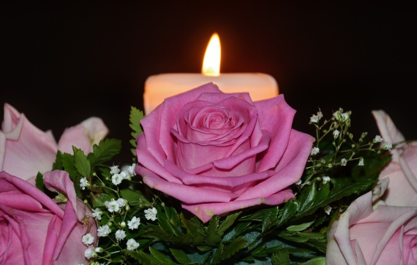 Розовые розы с зелеными листьями на столе со свечой