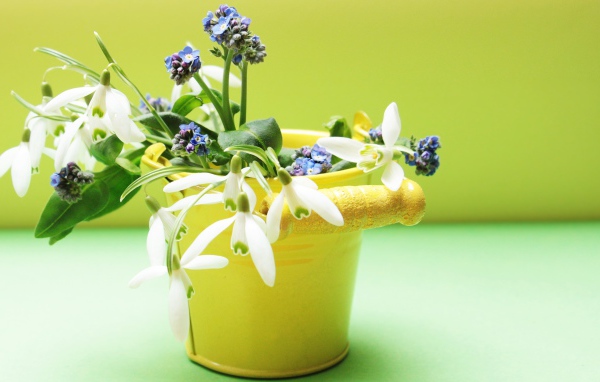 Маленькое желтое ведерко с весенними цветами
