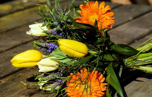 Цветы тюльпана с герберами на лавке