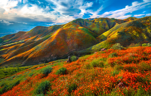 Красивая разноцветная гора под красивым голубым небом 