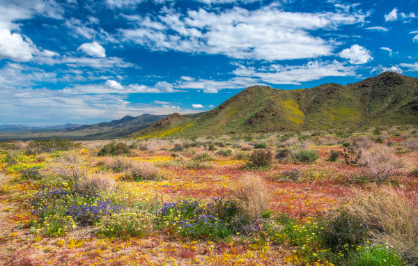 Высокие горы в национальном парке под голубым небом