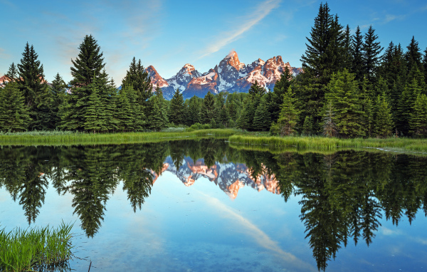 Зеленые высокие ели отражаются в озере на фоне гор