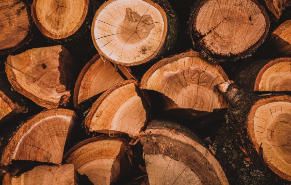 Рубленные дрова крупным планом