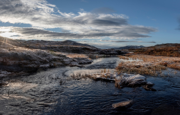 Покрытая инеем трава на берегу реки в лучах солнца