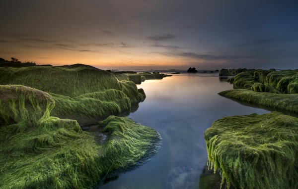 Покрытые зеленью берега у реки на закате солнца