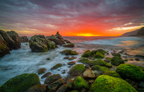 Покрытые зеленым мхом камни на берегу моря