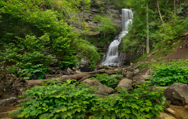Водопад стекает по камням в национальном парке, США