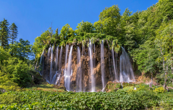 Красивый водопад стекает со склона с зелеными деревьями 