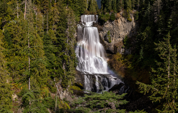 Большой водопад Александр стекает по скале в лесу 