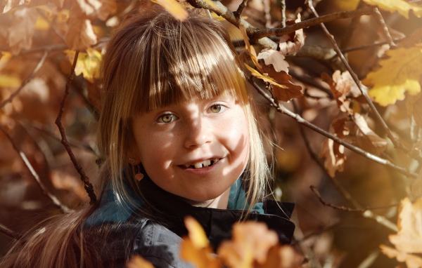 Маленькая девочка в ветках дерева осенью 