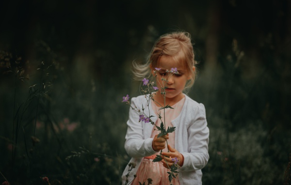 Маленькая девочка с полевым цветком в руке