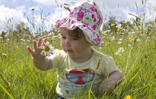 Маленький ребенок в панамке с ромашкой в руке