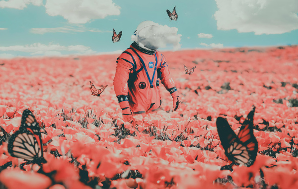 Космонавт идет по полю с бабочками и красными маками