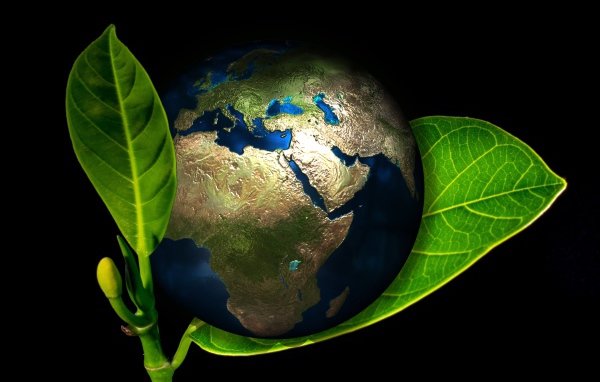 Планета Земля лежит на зеленом листе