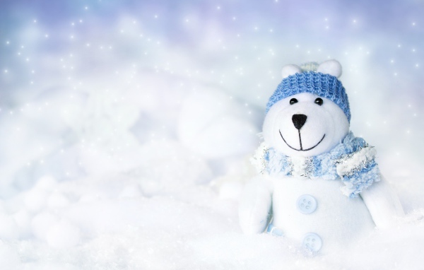 Белый игрушечный медведь на снегу