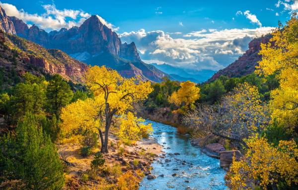 Красивый вид на национальный парк Сион осенью, США