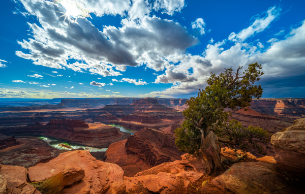 Красивый вид на каньон под голубым небом, США