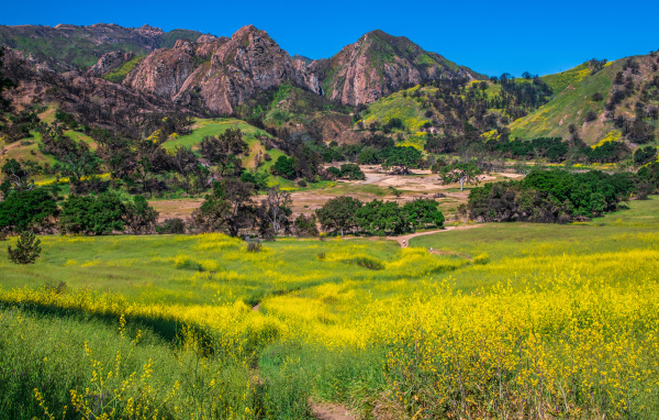 Большие горы под голубым небом, США