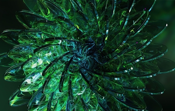 Красивый абстрактный зеленый цветок