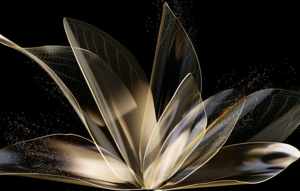 Распустившийся абстрактный цветок на черном фоне