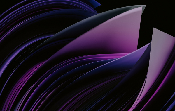 Фиолетовые абстрактные лепестки на черном фоне