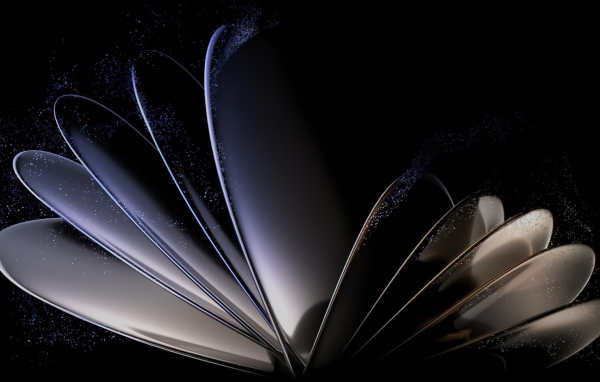 Необычные 3д лепестки на черном фоне