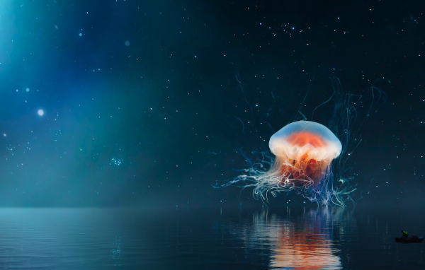 Большая медуза на фоне неба