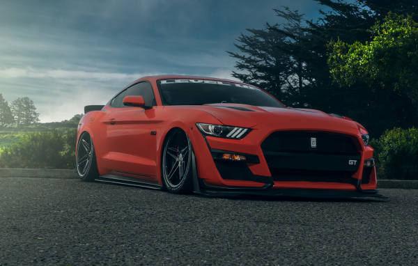 Красный автомобиль Ford Shelby GT500  на дороге