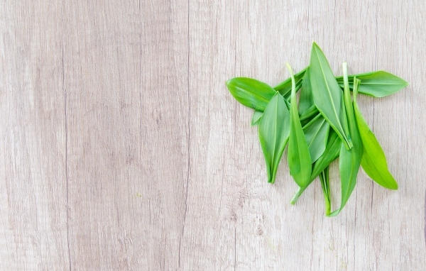 Пучок зеленых листьев на деревянной поверхности 