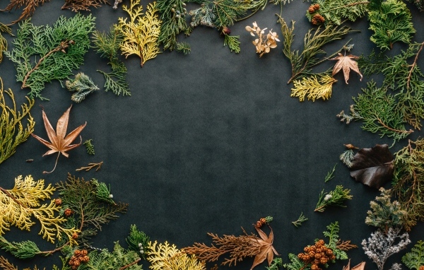 Серый фон с растениями