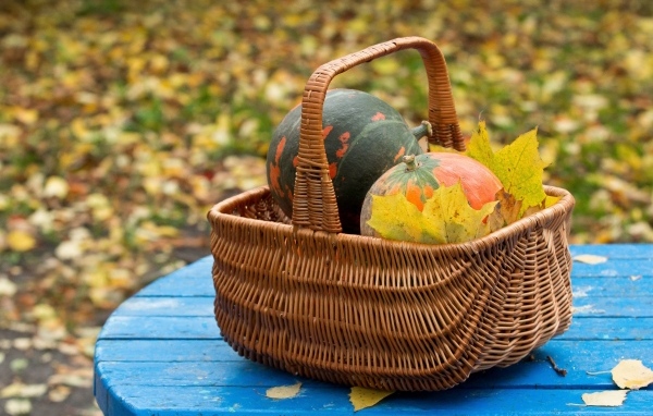 Корзина с тыквой осенью 