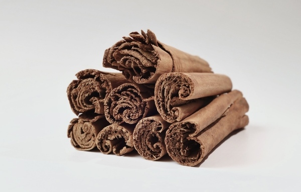 Корица на сером фоне