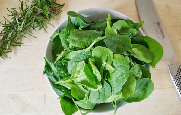 Зеленые листья базилика на столе с розмарином