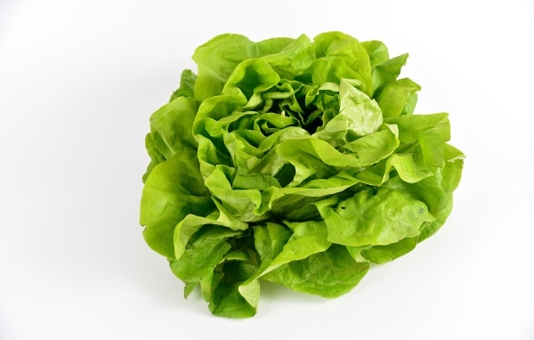 Листья зеленого салата на белом фоне