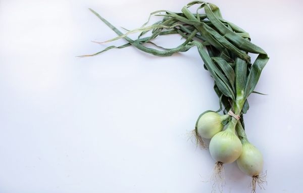 Зеленый лук на сером фоне