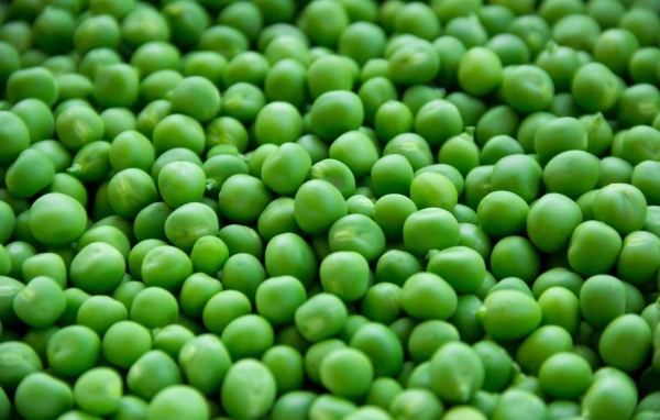 Зерна зеленого горошка крупным планом