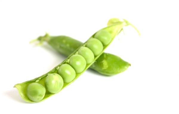 Зеленый горох на белом фоне