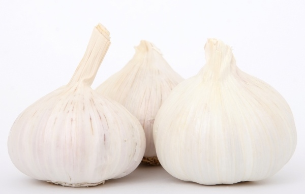 Большой ароматный чеснок на белом фоне
