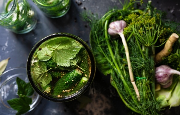 Маринованные огурцы с зеленью и чесноком на столе