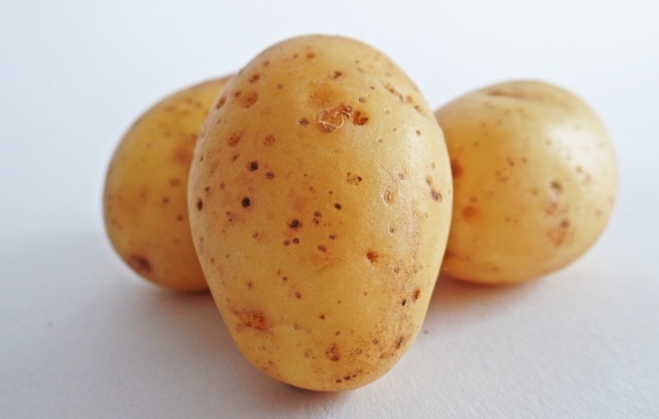 Картофель на белом фоне 