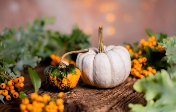 Тыква с ягодами рябины на столе