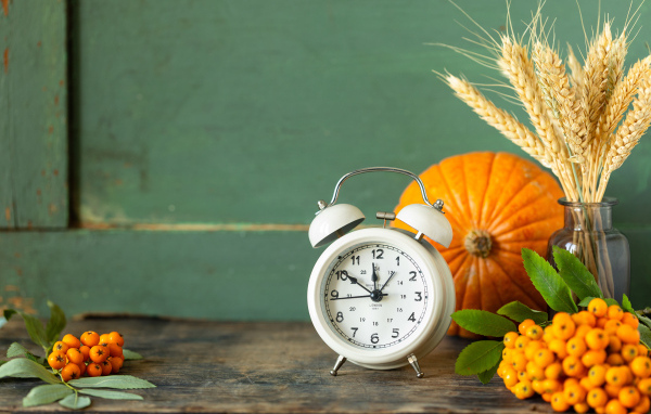Будильник на столе с тыквой и ягодами рябины