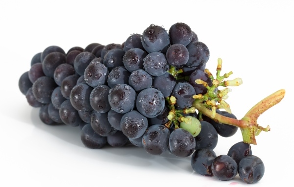 Большая гроздь синего винограда на белом фоне