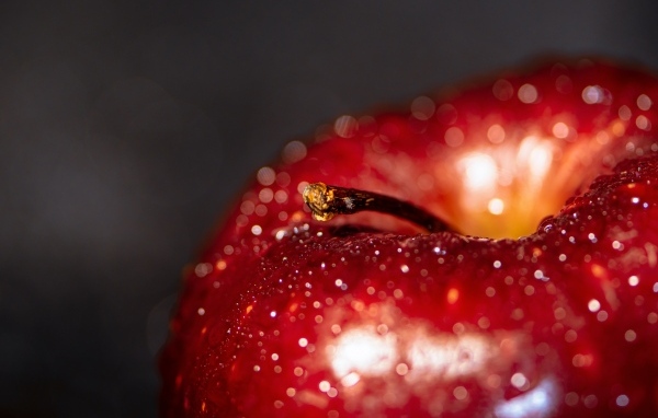 Большое мокрое красное яблоко на сером фоне