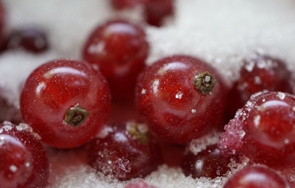 Красная смородина с сахаром крупным планом