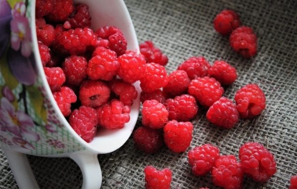 Красная спелая малина в чашке на столе