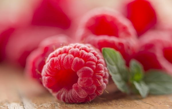 Ягода спелой красной малины крупным планом