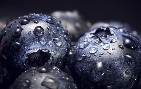 Круглые ягоды черники в каплях воды