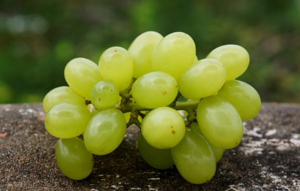 Белый виноград лежит на асфальте