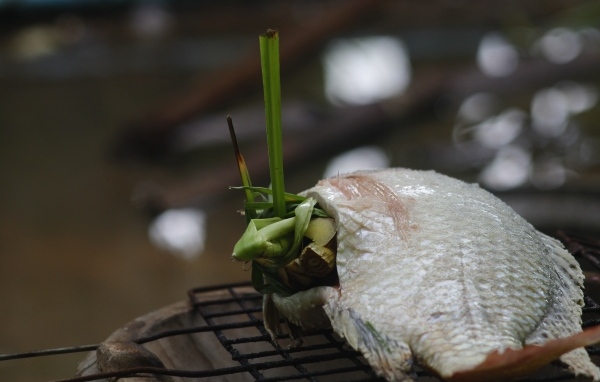 Рыба фаршированная зеленью на гриле